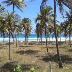 Praia do Francês