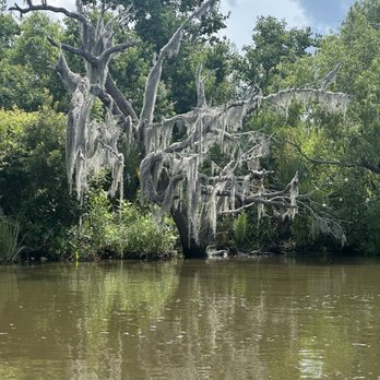 Louisiana Tour - Tours Near Me - Marrero, Louisiana Louisiana Tour - Tours Near Me - Marrero, Louisiana