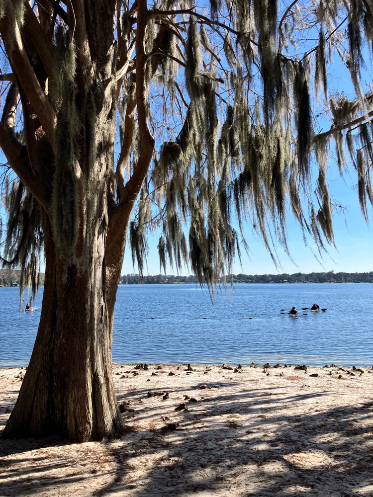 Dinky Dock Image