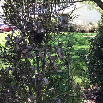Pots & Plants - Nurseries & Gardening Near Me - Great Falls, Virginia Pots & Plants - Nurseries & Gardening Near Me - Great Falls, Virginia