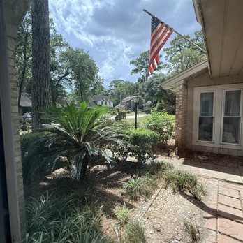 Texas Tree Masters - The front before the stumps were ground. - Tree Services Near Me - Katy, Texas Texas Tree Masters - The front before the stumps were ground. - Tree Services Near Me - Katy, Texas