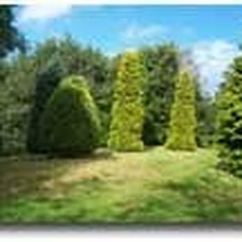 Belvoir Forest Park - Local Flavor Near Me - Castlereagh, CSR