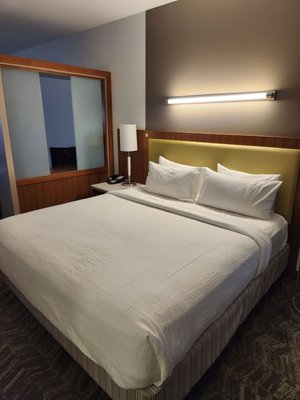 SpringHill Suites Orlando at SeaWorld by null