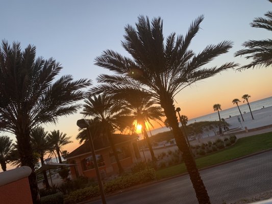 "We the Pizza" Clearwater beach by null