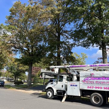 Becker Tree Service - truck parked on the side of the road - Tree Services Near Me Becker Tree Service - truck parked on the side of the road - Tree Services Near Me