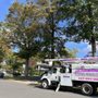 Photo of Becker Tree Service