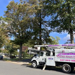 Becker Tree Service