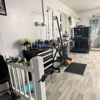 Head to Tail Pet Grooming - Pet Groomers Near Me - Lake Placid, Florida Head to Tail Pet Grooming - Pet Groomers Near Me - Lake Placid, Florida