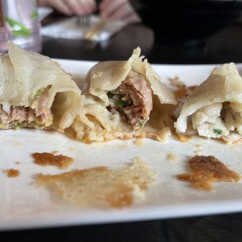 Tasty Dumplings - Pan fried dumpling - Chinese Near Me - Lowell, Massachusetts Tasty Dumplings - Pan fried dumpling - Chinese Near Me - Lowell, Massachusetts