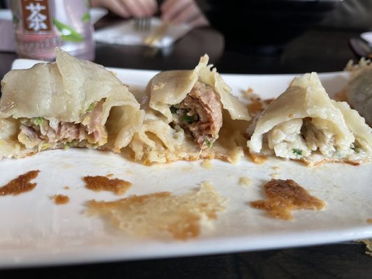 Tasty Dumplings by null