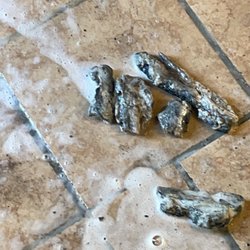 JE Hydro Jetting Services