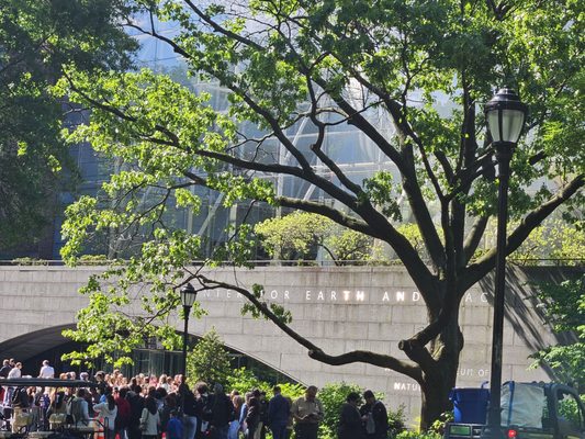 Famous Original Ray's Pizza by null