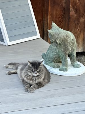 Sleeping Lady Mountain Resort by null