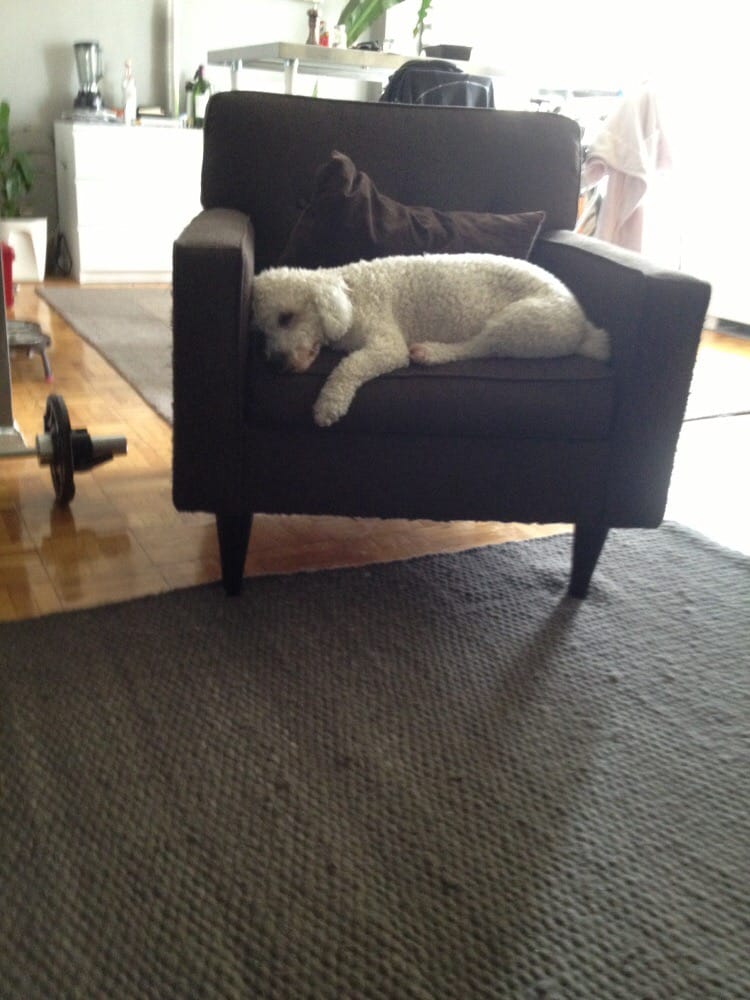 Ayman Upholstery - upholstery in City of Orange, NJ