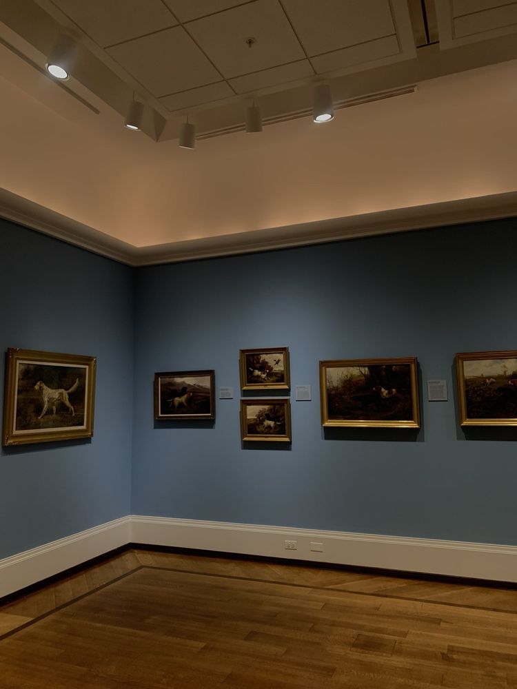 NATIONAL SPORTING LIBRARY & MUSEUM Updated September 2024 102 The Plains Rd, Middleburg