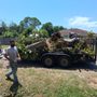 Tree Right Tree Service