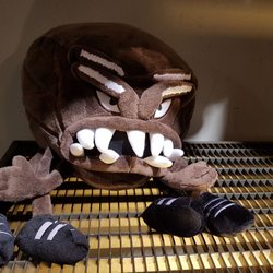 FC St. Pauli Fanshop - Eine Zecke
