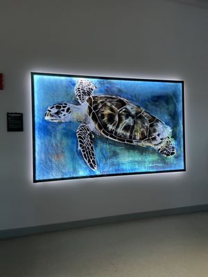 Clearwater Marine Aquarium by null