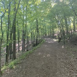 Alsopp Park - Trail
