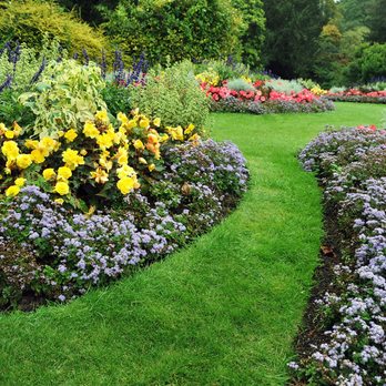 Simon Landscaping - a garden with various flowers - Landscaping Near Me Simon Landscaping - a garden with various flowers - Landscaping Near Me