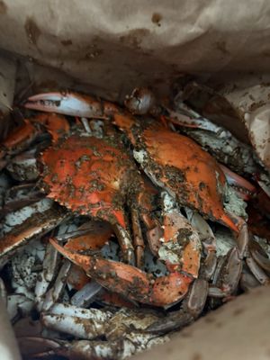 Conrad's Crabs & Seafood Market -Parkville,MD by null