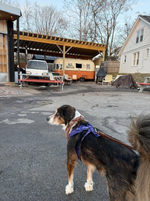 All or Nothing Bagels by null