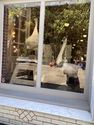 Chateau Sonoma by null