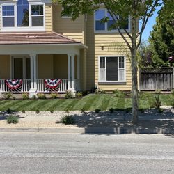 Devil Mountain Wholesale Nursery - Morgan Hill - Plants