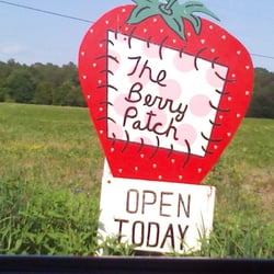 The Berry Patch