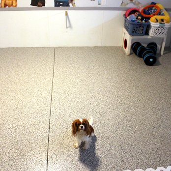 TSR Concrete Coatings - Puppyland new floor after TSR cut our concrete. Just Imagine what will be going into that trough in the middle of the floor. - Masonry/Concrete Near Me - Freeport, Illinois TSR Concrete Coatings - Puppyland new floor after TSR cut our concrete. Just Imagine what will be going into that trough in the middle of the floor. - Masonry/Concrete Near Me - Freeport, Illinois