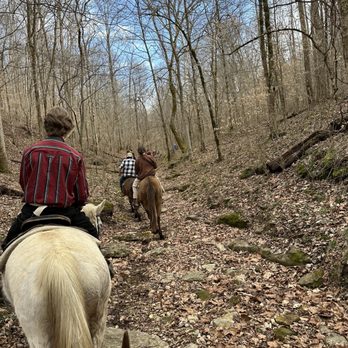 Natchez Trace Stables - Horseback Riding Near Me - Primm Springs, Tennessee Natchez Trace Stables - Horseback Riding Near Me - Primm Springs, Tennessee