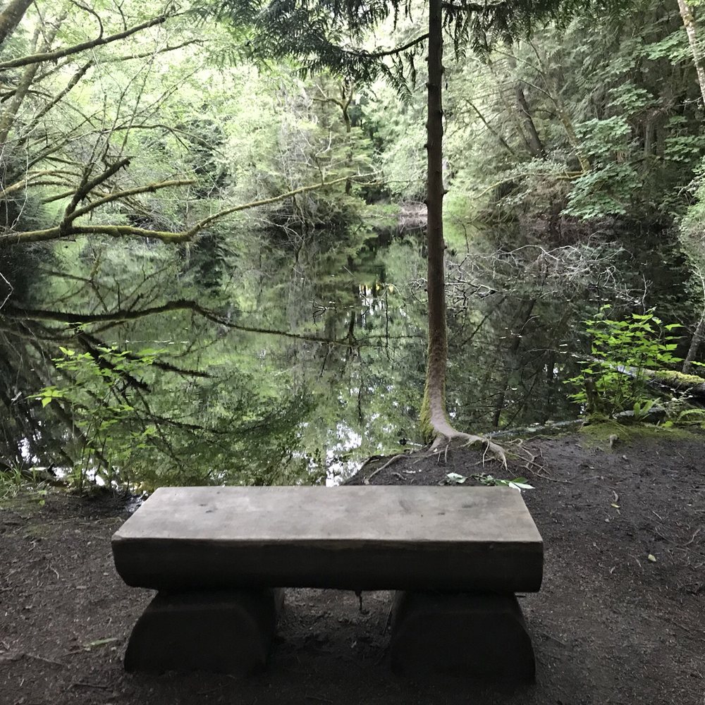 THE BEST 10 Hiking in Kitsap County, WA Last Updated September 2021 Yelp