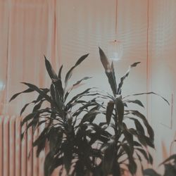 Nella Banner Massage - Studio Space