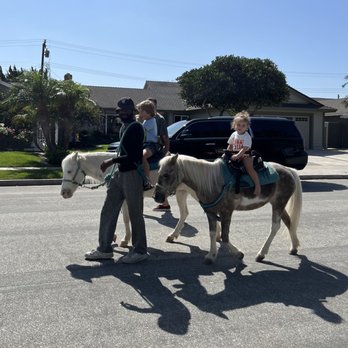 Becky's Pony Express - Petting Zoos Near Me