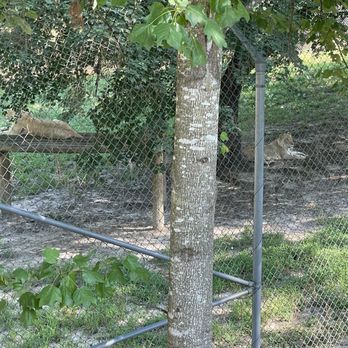 Metro Richmond Zoo - Zoos Near Me - Moseley, Virginia
