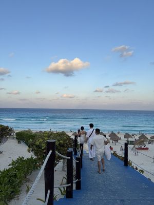 Dolphins Beach by null