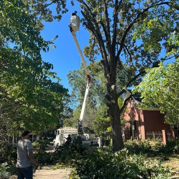 Top 2 Ground Tree Service - Tree Services Near Me - Cartersville, Georgia