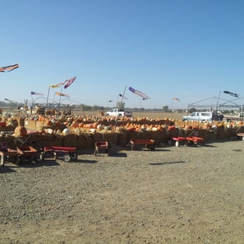 Perry's Pumpkin Farm - Pumpkin Patches Near Me - Sacramento, California Perry's Pumpkin Farm - Pumpkin Patches Near Me - Sacramento, California
