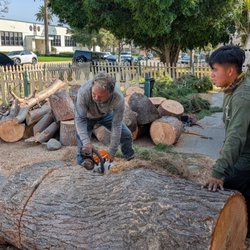 Garcias Landscape and Tree Triming Service