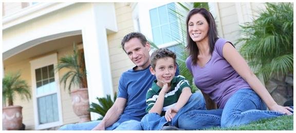 Bat Bee & Hornet Removal Services