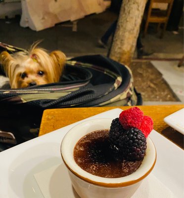 Tuning Fork LA by null