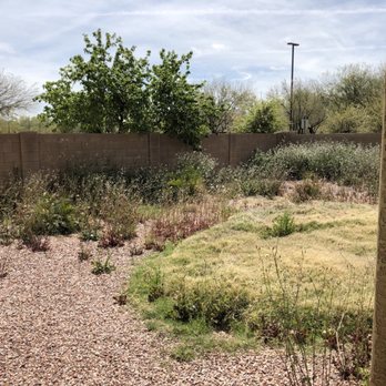 EZ Breezy LawnCare - Back yard - Landscaping Near Me