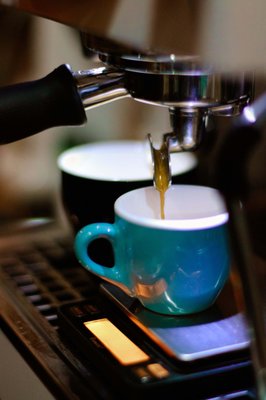 Yellow Tucan Coffee by null