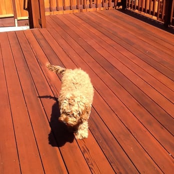 Deck Preservation - Painters Near Me