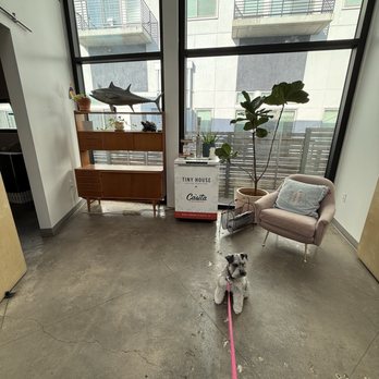 PAZ Veterinary North - A sitting area off the lobby - Veterinarians Near Me - Austin, Texas