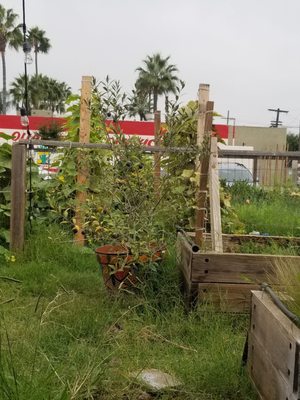 MAKE Projects by null