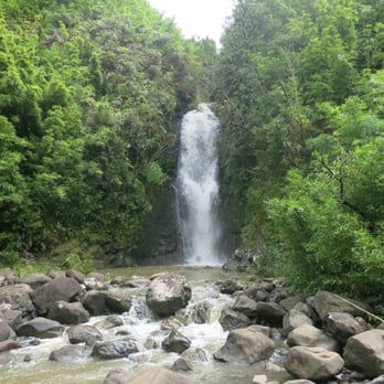 Bamboo Forest - Active Life Near Me - Uninc Maui, Hawaii