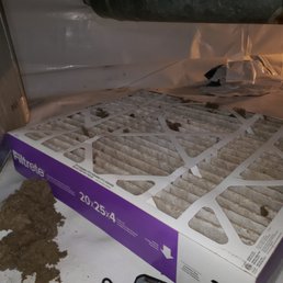 in my brand new filter after they left in my brand new filter after they left