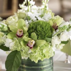Bonavista Flowers - Green mums, stock, roses, orchids, spray roses greens.