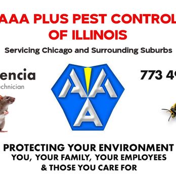 AAA Plus Pest Control - Pest Control Near Me - Chicago, Illinois AAA Plus Pest Control - Pest Control Near Me - Chicago, Illinois